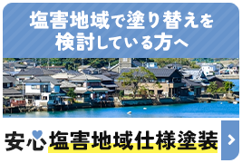 塩害地域で塗り替えを検討している方へ 安心塩害地域使用塗装