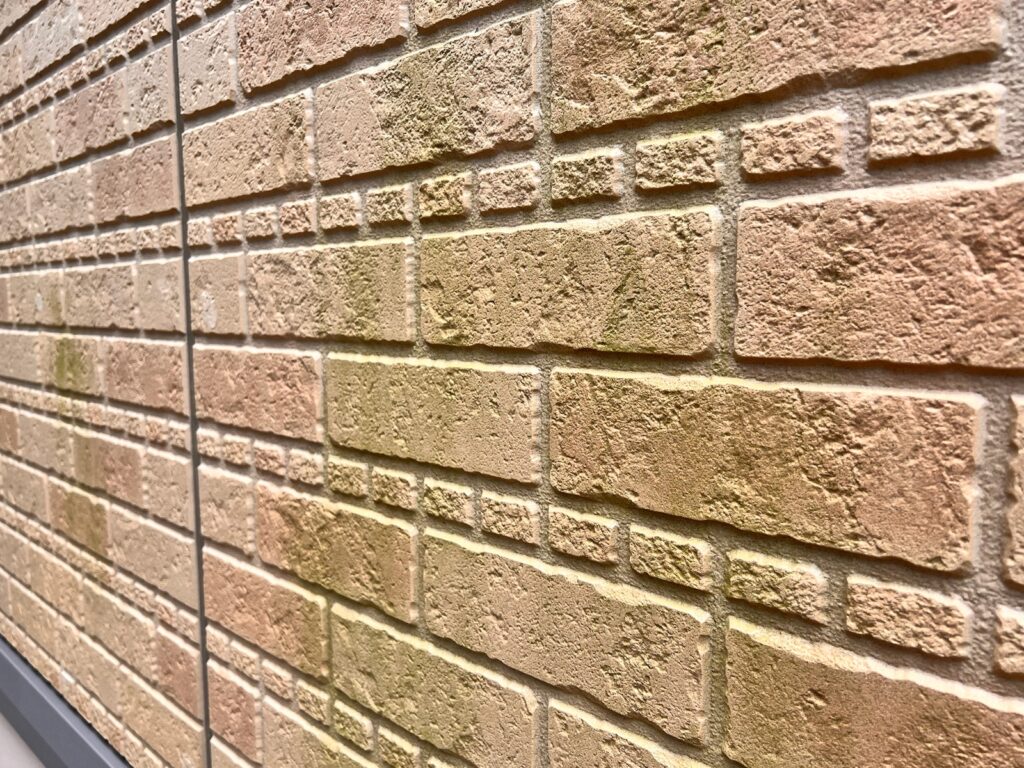 外壁はカビが発生していました