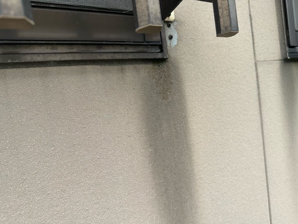 外壁はカビが発生していました
