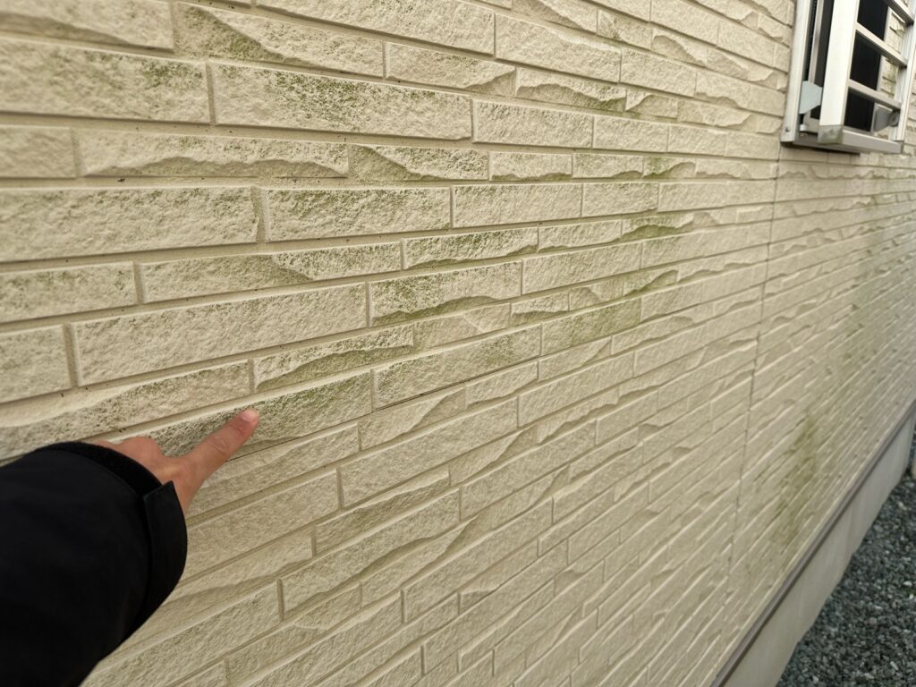 外壁はカビが発生していました