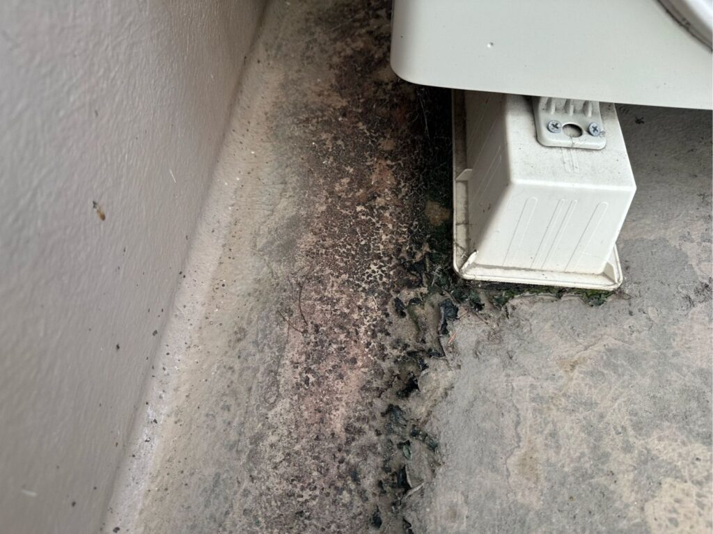 ベランダ防水の汚れが発生していました