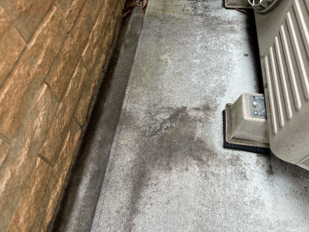 ベランダはカビが発生していました