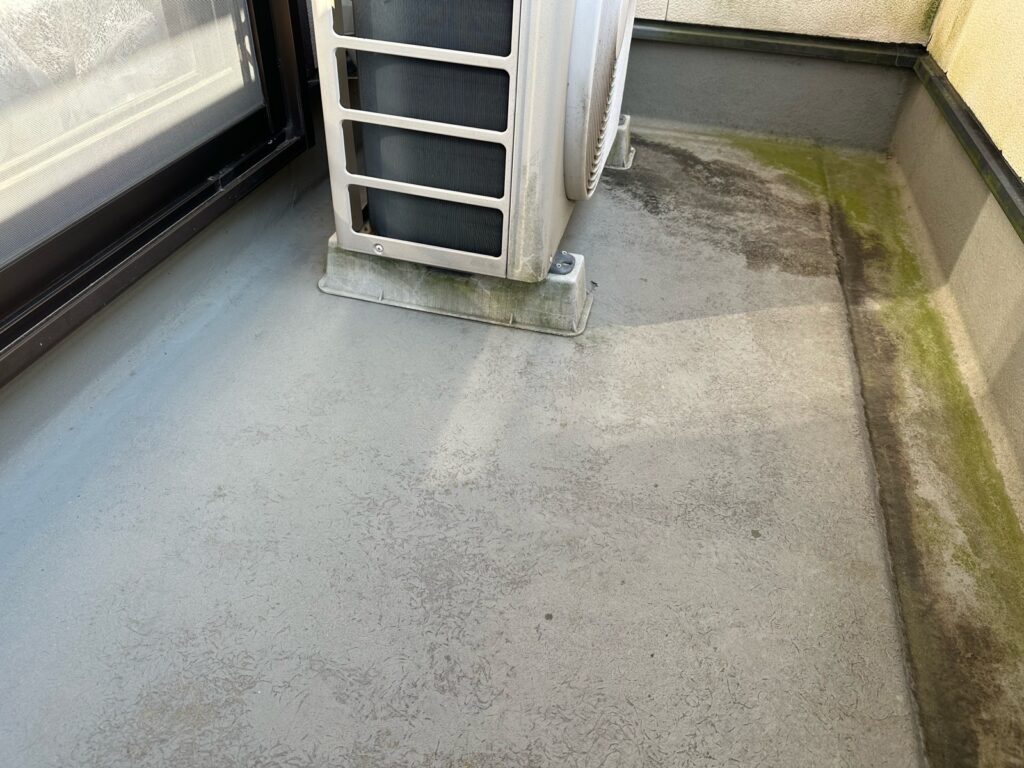 ベランダはカビが発生していました