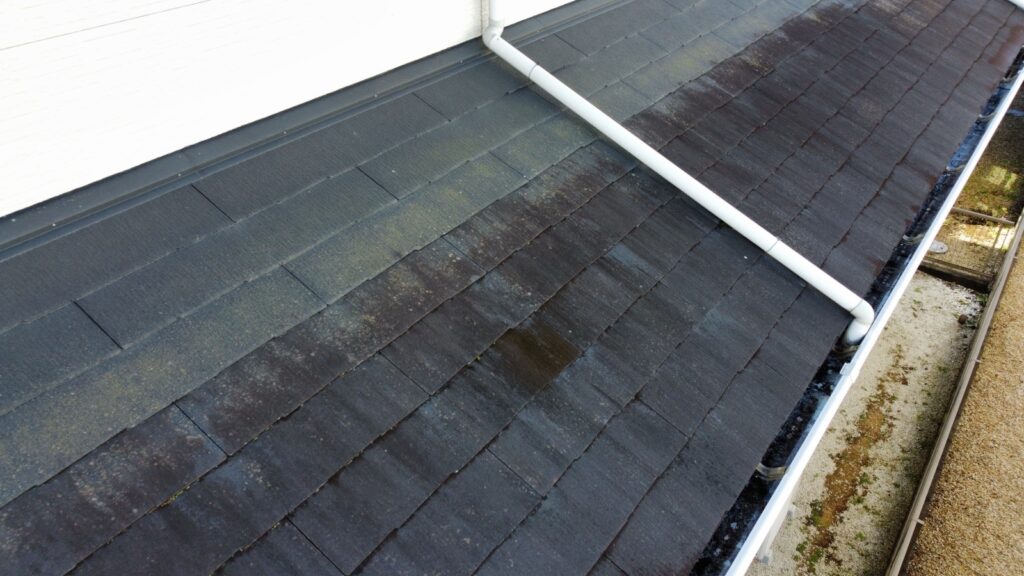 屋根はカビが発生してきており腐食が懸念されます