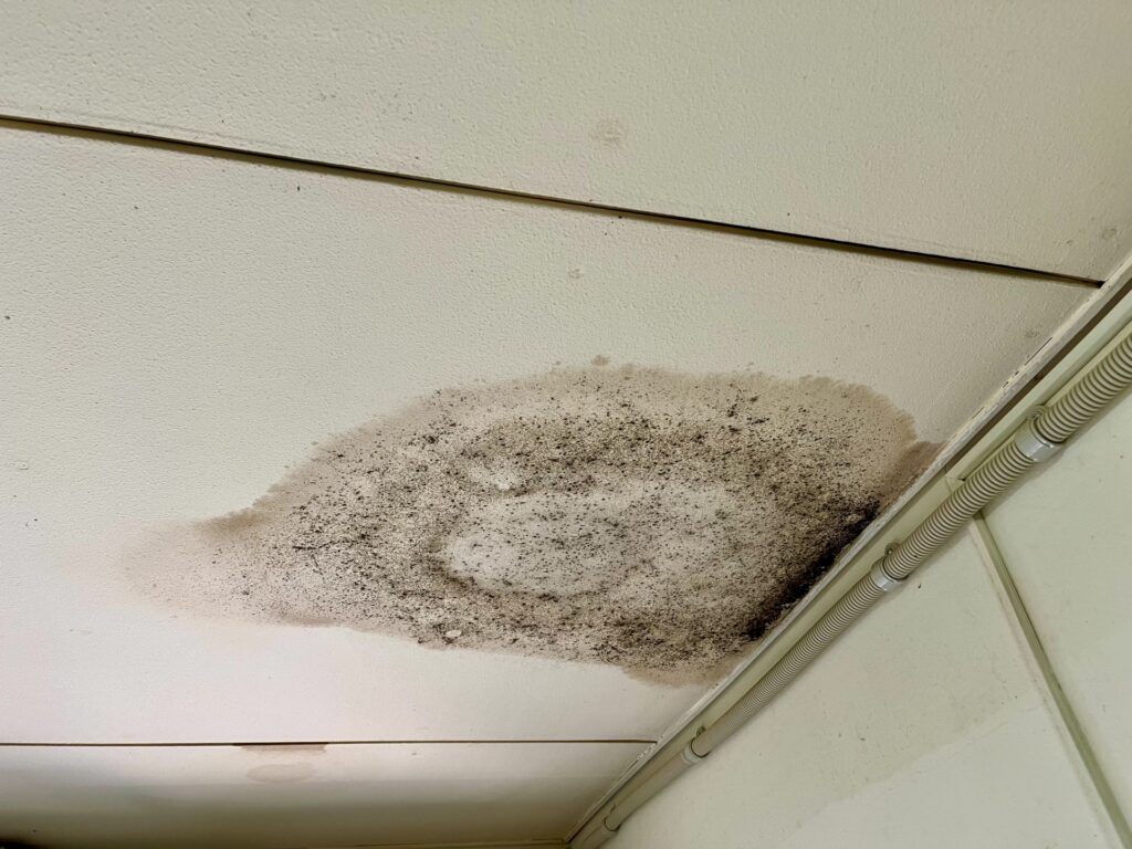 外壁塗装や屋根塗装だけでは雨漏りは直らない？