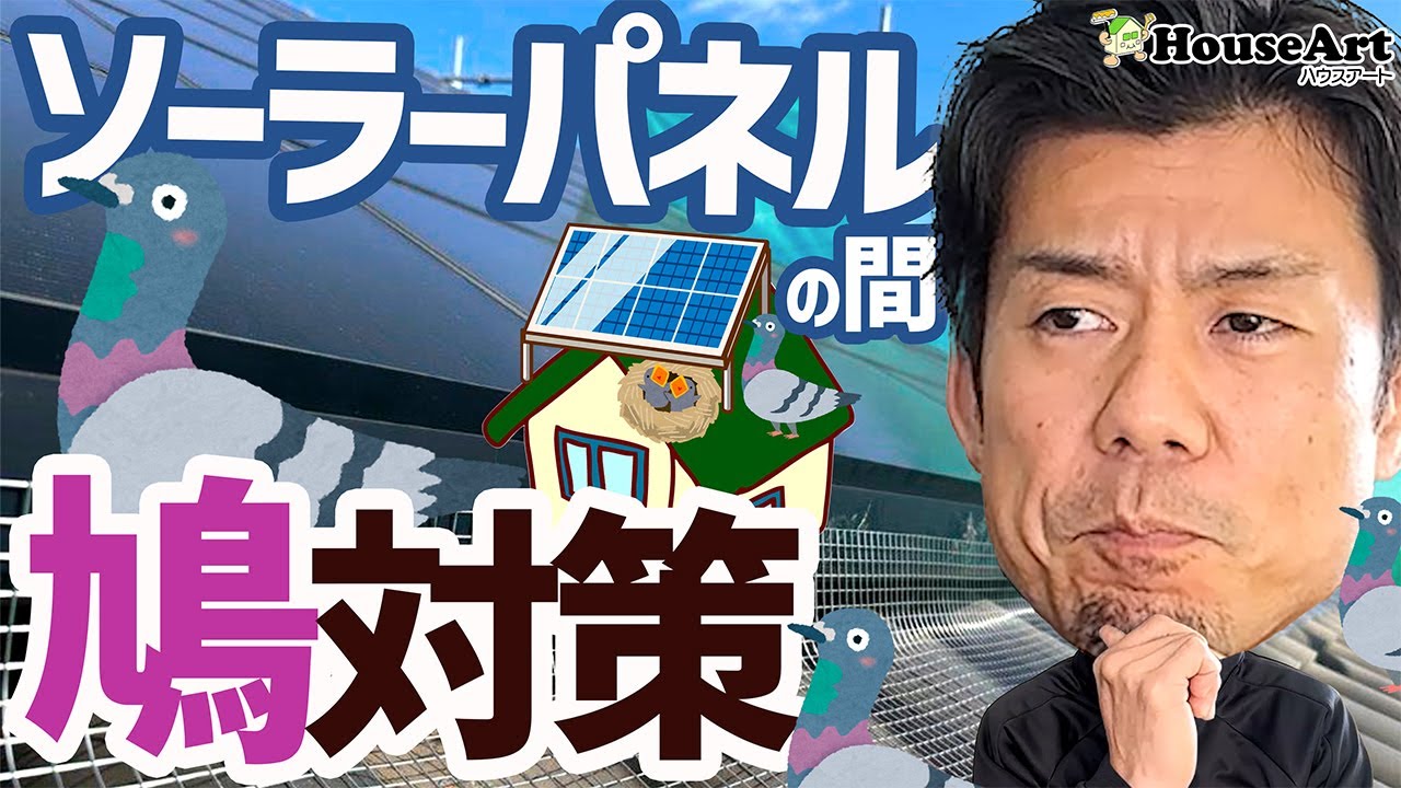 ソーラーパネル下の鳩…
