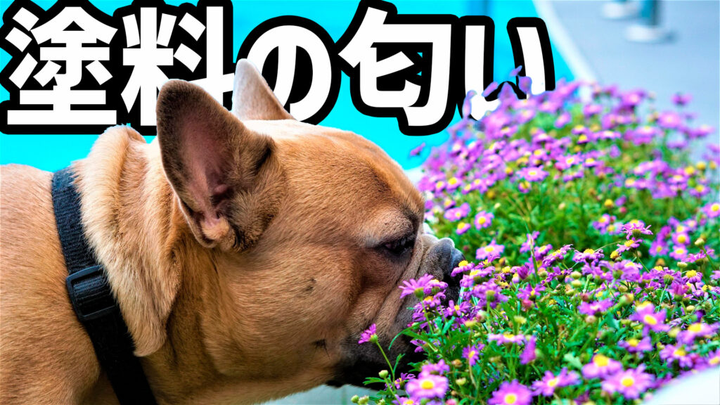 外壁塗装の匂いはどれくらいする？