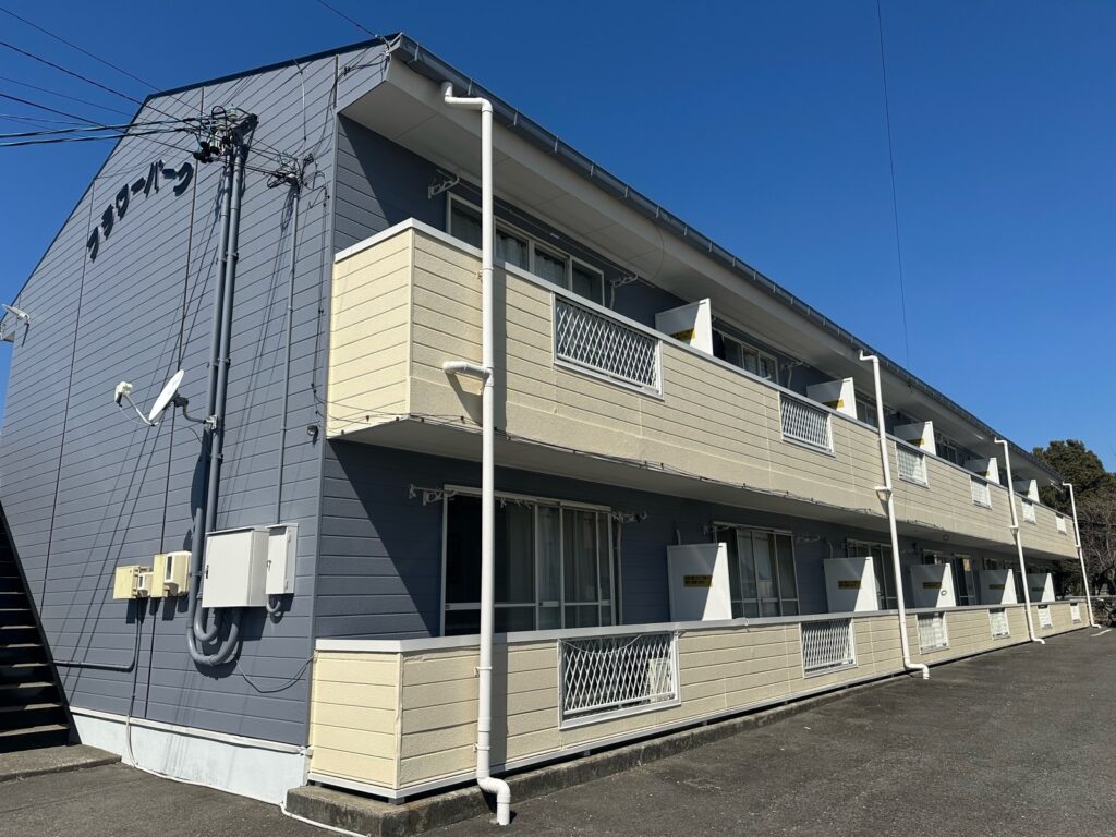 完成写真