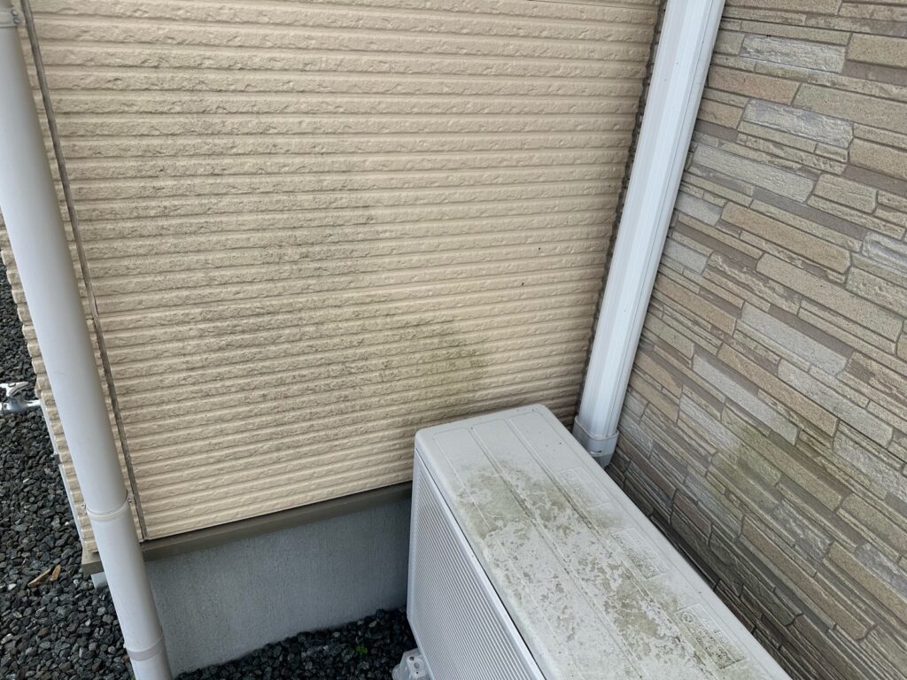 外壁の苔