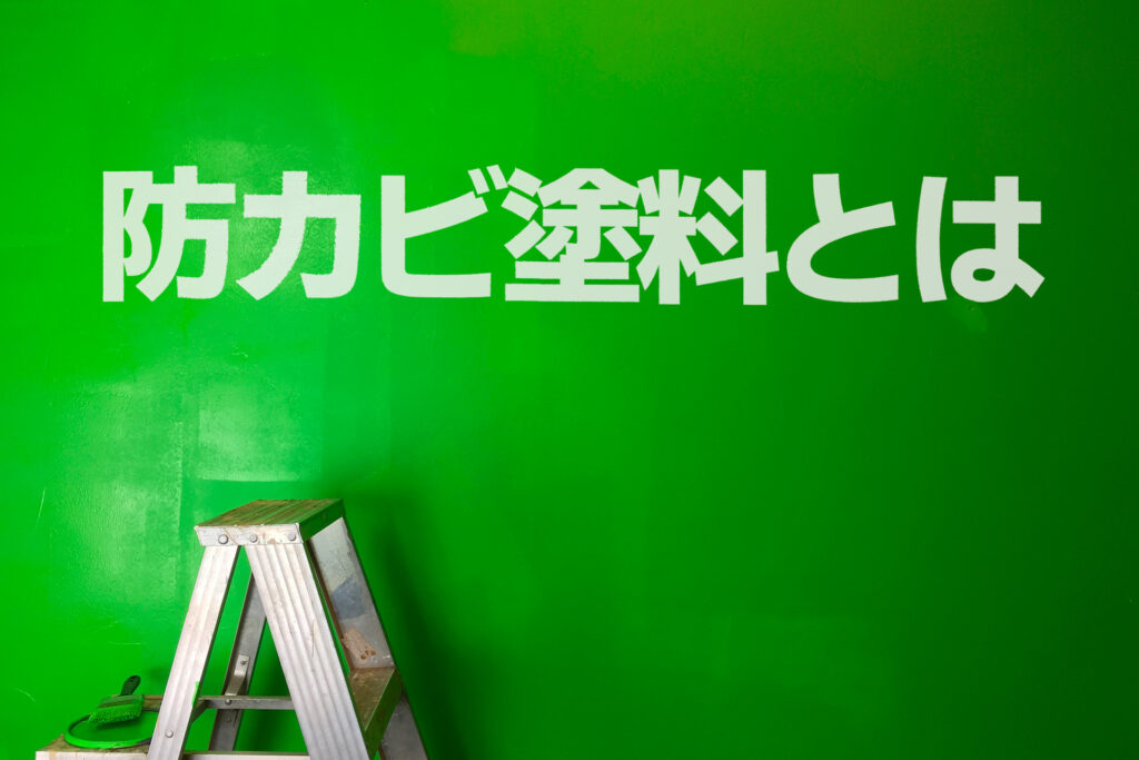 防カビ塗料とは？